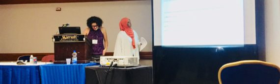 Katie reflects on presenting at the 2017 AEA conference