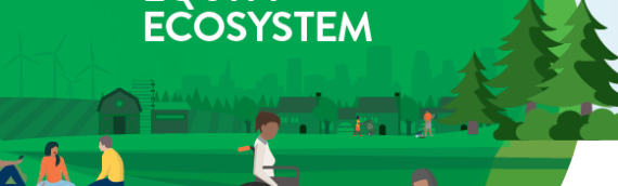 Cultivating a Health Equity Ecosystem: Lessons Learned from the Eliminating Health Disparities Initiative